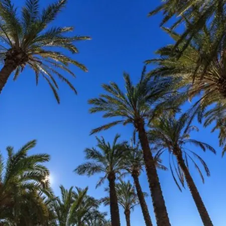 Beatriz Charming * Torremolinos