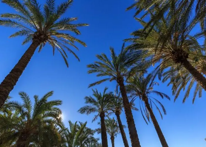 Beatriz Charming * Torremolinos