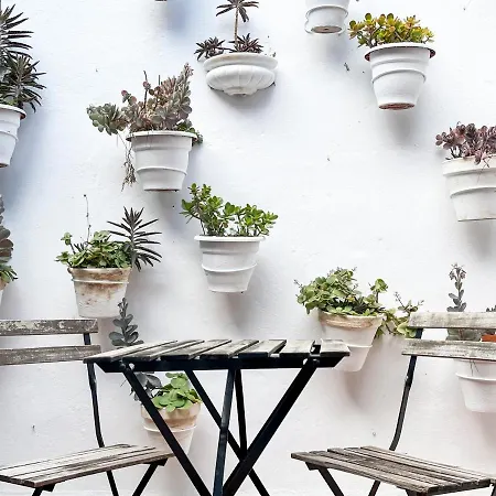 بيت ضيافة Beatriz Charming Hostal توريمولينوس